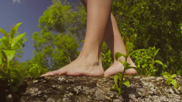 istock Legs of young woman walking on a tree branch. 814287786