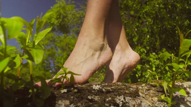 istock Legs of young woman walking on a tree branch. 814287802