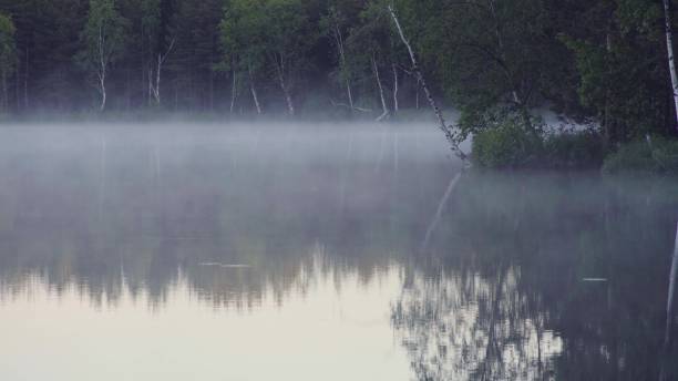 istock Fog on the forest lake in the morning. 814287826