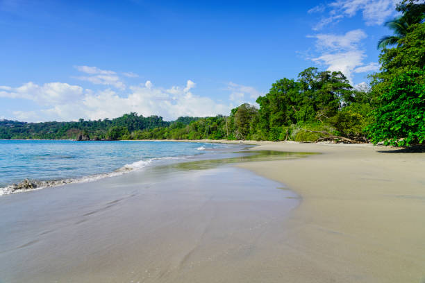 espadilla Sur, beach in The Manuel Antonio National Park, Panama.  Blue, turquoise water, blue sky with white clouds and green surroundings. The NP is near Quepos at Pacific coast of Costa Rica and has four beaches which are; the Espadilla Sur, the Playita, the Manuel Antonio, and the Escondido.