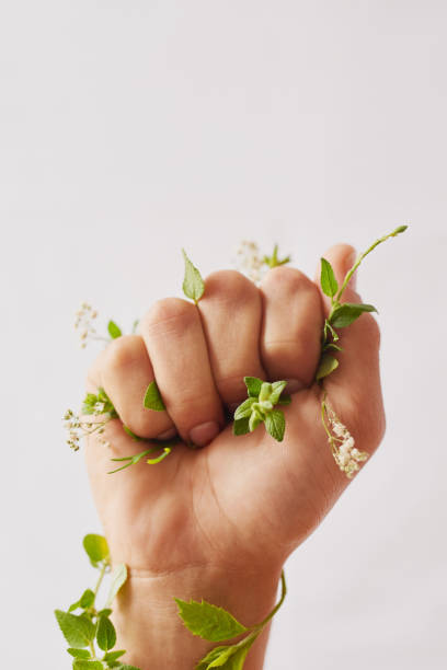 istock Fight for the fragile 814298792