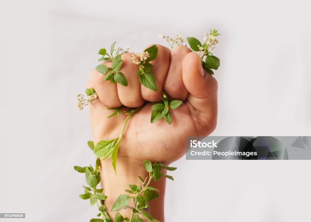 Use your voice for those who can't speak Cropped shot of an unidentifiable woman's hand clenching flowers in a fist in studio Environmental Conservation Stock Photo