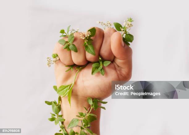 Use Your Voice For Those Who Cant Speak Stock Photo - Download Image Now - Environmental Conservation, Hand, Nature