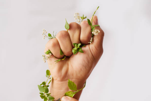 istock Lend a hand to Mother Nature 814298812