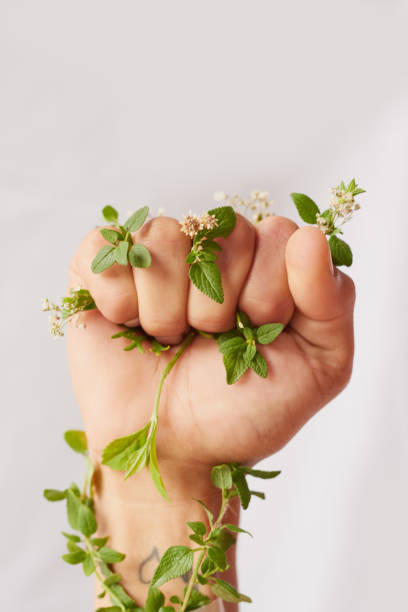 istock Mother Nature needs all the help she can get 814298824