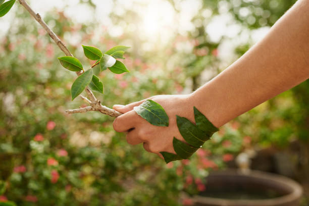 istock Coming to an agreement with Mother Nature 814298842