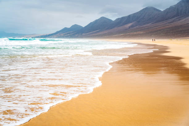 istock Beach scene showing sand, sea and sky 814304230