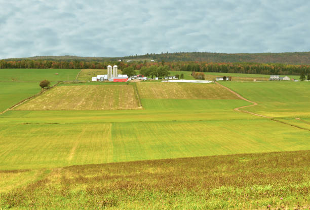 istock Backlands of New Brunswick Canada (farmland) 814307010