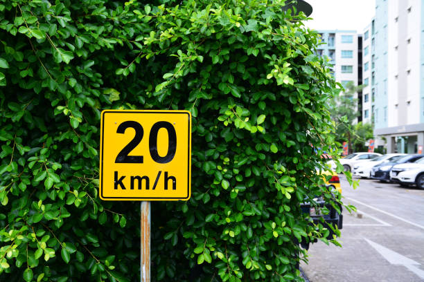 istock Speed ​​limit sign with green leaf background 814307136