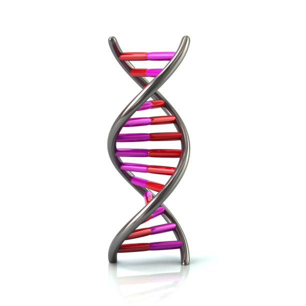 istock Purple and red DNA model icon 814311068
