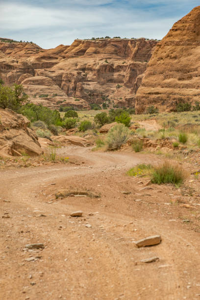 istock Winding dirt roads for driving 814313290