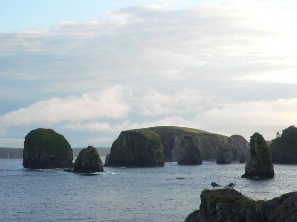 istock Sea cliffs on Shikotan, Kuril Islands, Russia 814313460