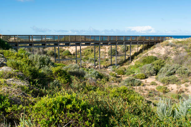 Beach Access Foot Bridge, Waitpinga, South Australia