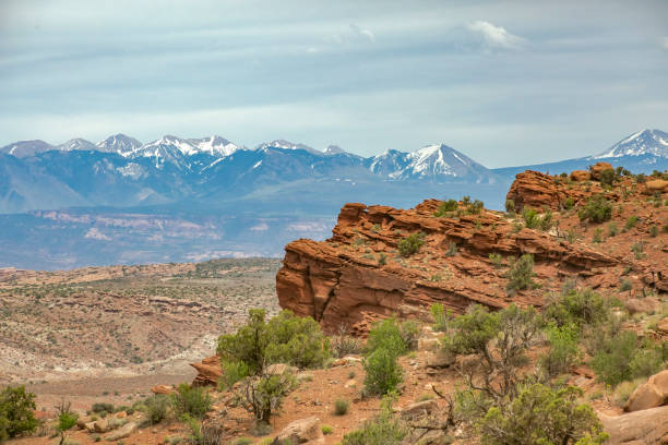 istock The La Sal Mountians with rocks and foliage 814316480