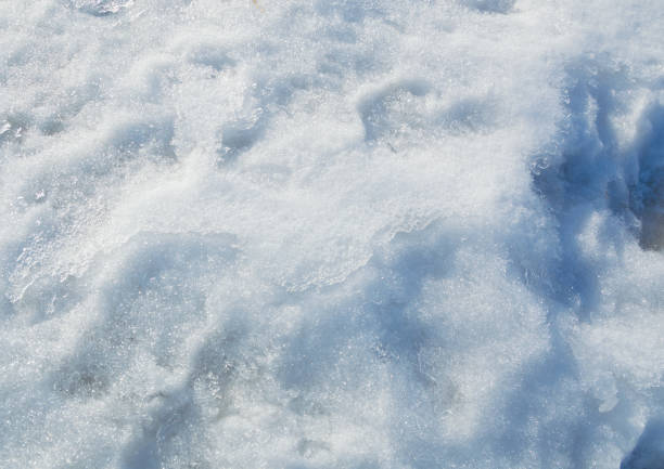 istock the texture of trampled snow background 814316980