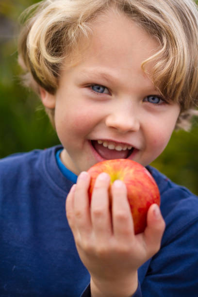 istock cute 5 year old child eating an apple 814319364