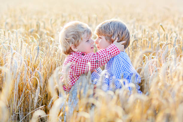 istock Two little sibling boys having fun and hugging on yellow wheat field 814328760
