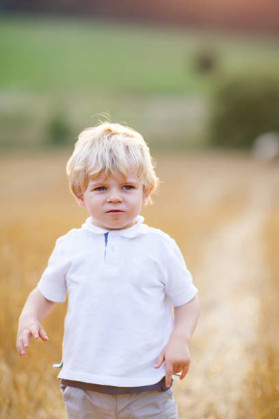 istock Happy blond kid boy enjoying sunset in wheat field. 814329002