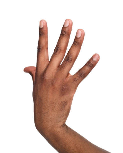 istock Black male hand isolated on white background 814335286