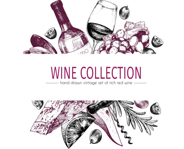 illustrazioni stock, clip art, cartoni animati e icone di tendenza di illustrazione del modello di colore disegnato a mano vettoriale di vino e antipasti. bottiglia, bicchiere, corcksrew, formaggio, frutta e verdura. - wine bottle illustrations