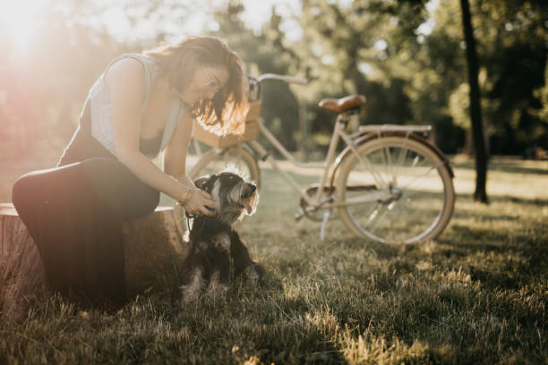 istock The dog enjoys being caressed 814346316