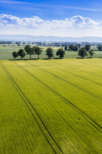 istock aerial view of the harvest fields 814347302