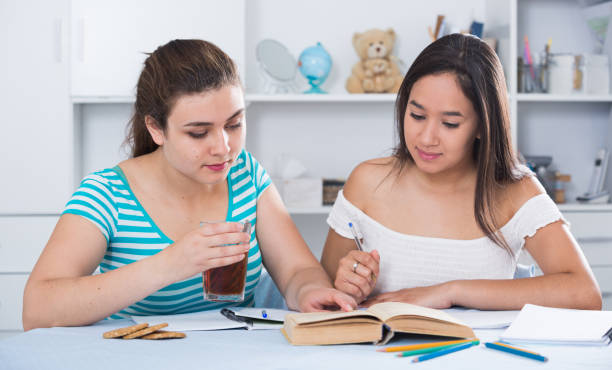 dos compañeros de clase haciendo la tarea juntos - m14 fotografías e imágenes de stock