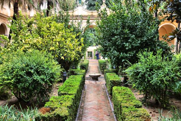istock Alcazar, Seville 814361382