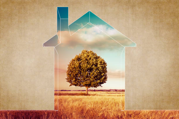istock Through a house wall you see a field with a lone tree - concept image 814382548