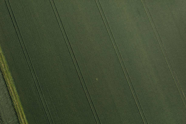 istock aerial view of the harvest fields 814384930