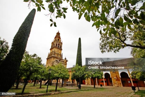 Bell Tower From Court Of Oranges In Mosquecathedral Of Cordoba Or Cathedral Of Our Lady Of The Assumption In Historic Centre Of Cordoba Unesco World Heritage Andalusia Spain Stock Photo - Download Image Now
