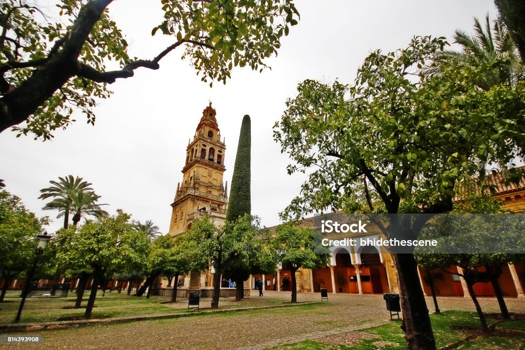 Bell tower from Court of Oranges in Mosque–Cathedral of Cordoba (Mezquita-Catedral de Córdoba), or Cathedral of Our Lady of the Assumption, in Historic centre of Cordoba, UNESCO World Heritage, Andalusia, Spain Adult Stock Photo
