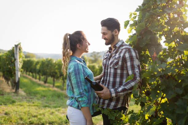 istock Happy couple in vineyard before harvesting 814398778