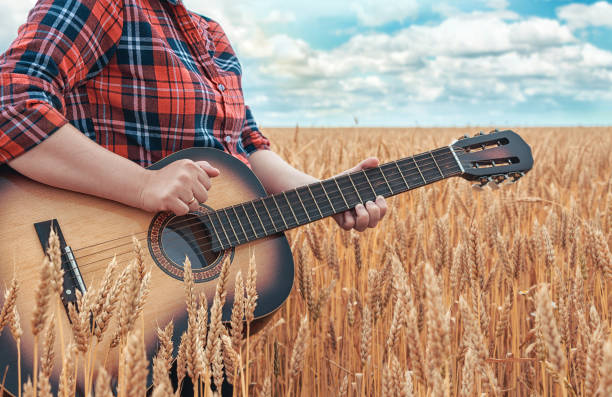 the girl in the red shirt in wheat field plays the acoustic guitar. beautiful nature at bright sunny summer day. camping. - musica sertaneja imagens e fotografias de stock
