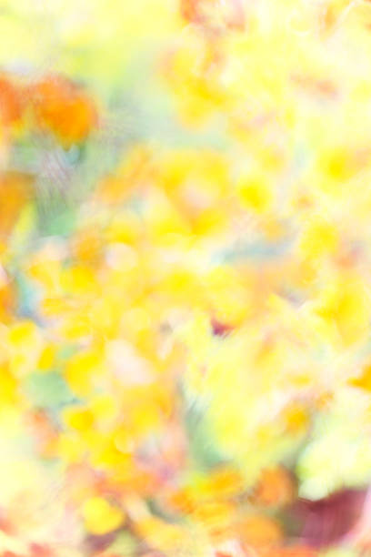 istock Impressionism Abstract pastel leafs with soft yellow green red backgrounds 814401960