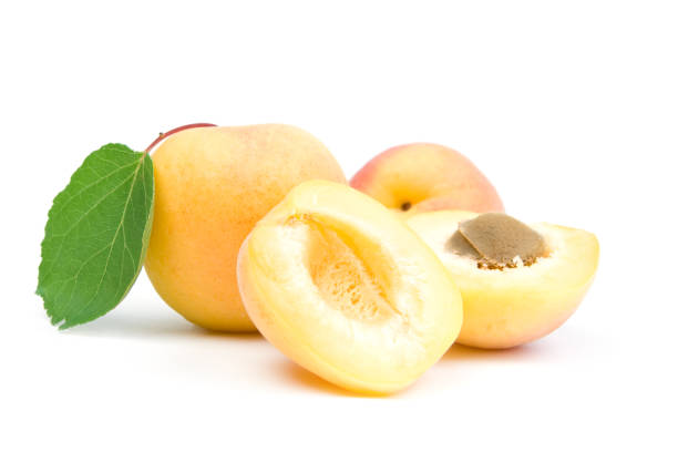 Apricots. stock photo