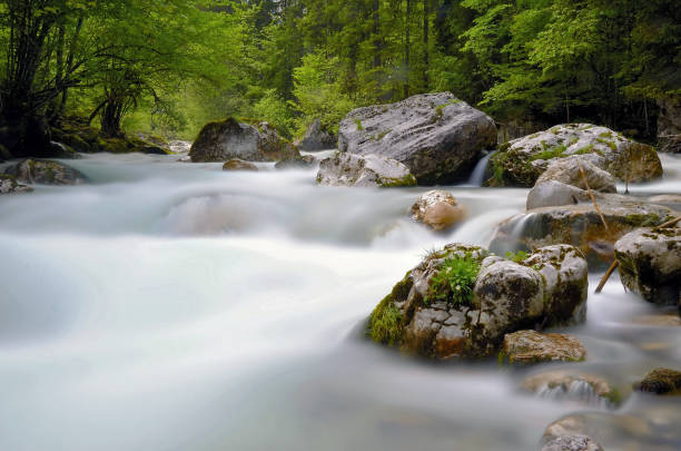 istock River Austria Salzburg2 814402224