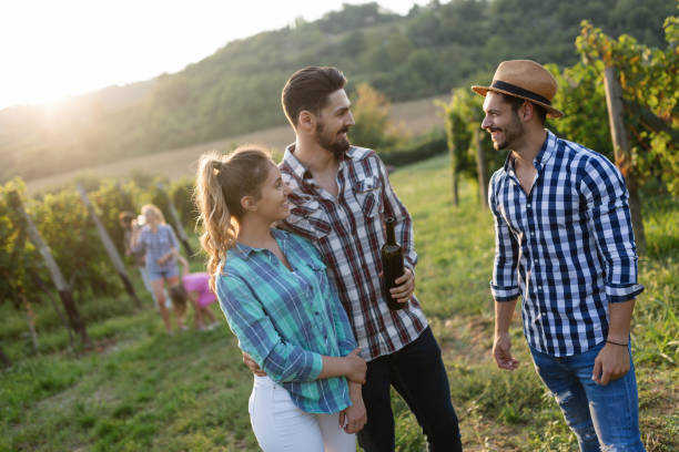 istock Wine grower and people in vineyard 814405008