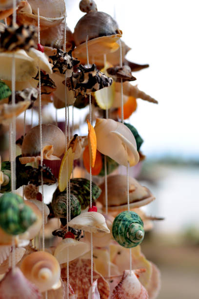 istock Beautiful garland from shells  in Thailand's small tourist shop on seaside. Selective focus. Background. 814405352