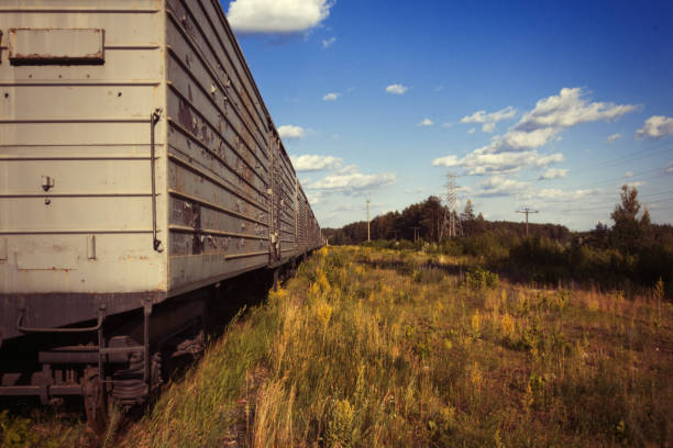 istock The old railway. Abandoned rusty cars. Urbanism 814408604