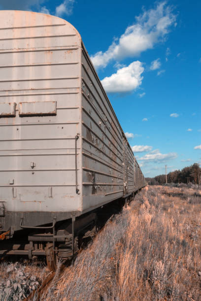 The old railway. Abandoned rusty cars. Urbanism