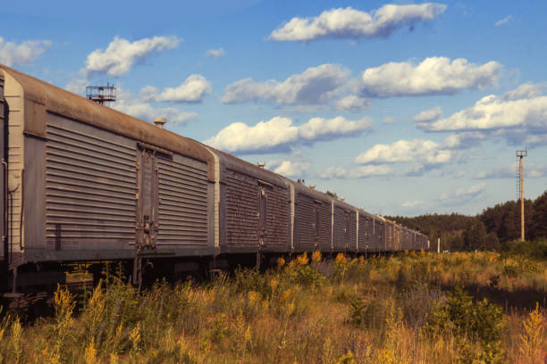 The old railway. Abandoned rusty cars. Urbanism