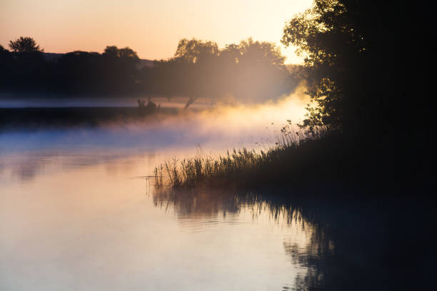 istock Misty forest river in morning sunlight. Countryside landscape 814416058