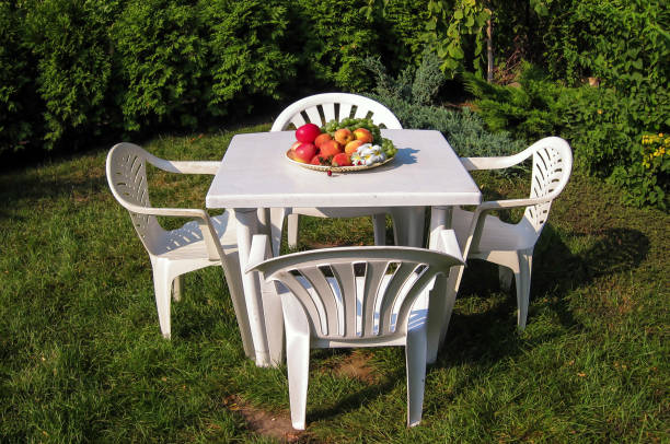 istock Dish for a picnic with fruits and flowers 814432466