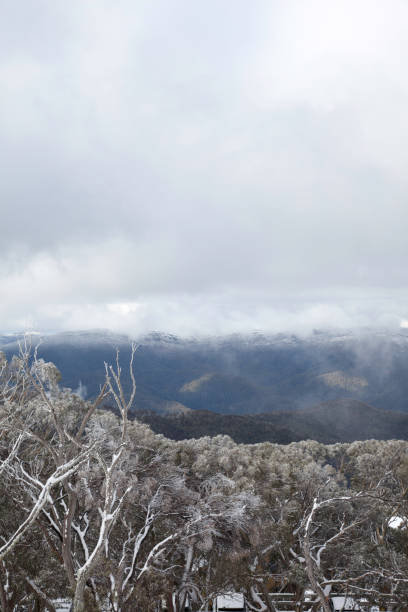 Mount Buller, Victoria, Australia. View of Mount Buller, Victoria, Australia high country stock pictures, royalty-free photos & images