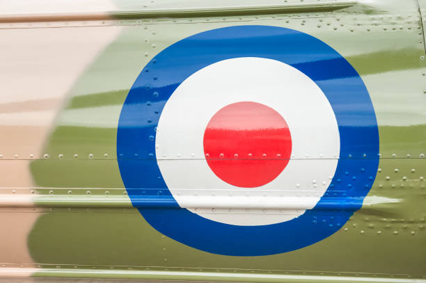 British military roundel on a camouflaged vintage aircraft