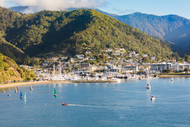 Picton on South island, New Zealand Picton on South island, New Zealand, with harbour and surrounding scenery picton new zealand stock pictures, royalty-free photos & images