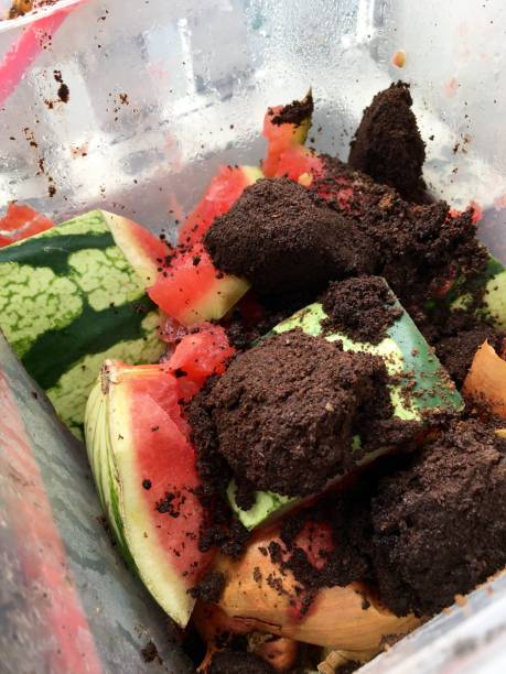 Fresh organic garbage with coffee set and remnants of watermelons