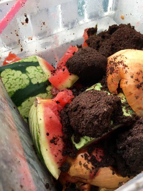 istock Fresh organic garbage with coffee set and remnants of watermelons 814449974