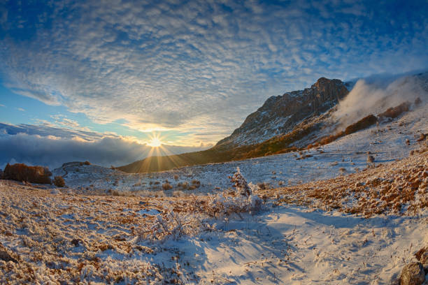 Winter landscape. stock photo